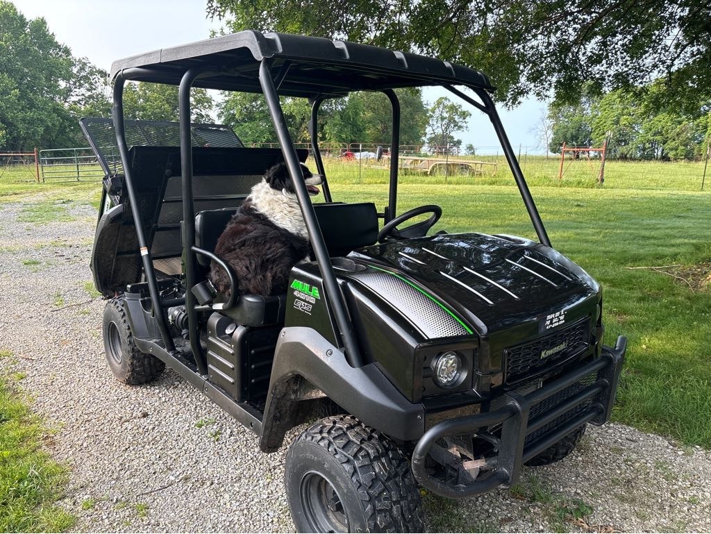 2017 Kawasaki Mule 4010 Utility Vehicle